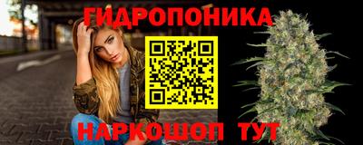 a pvp Будённовск