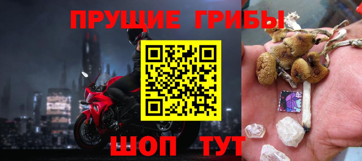 Галлюциногенные грибы Psilocybe  наркотики  Шали  Вход с VPN  Псилоцибиновые грибы прущие грибы 